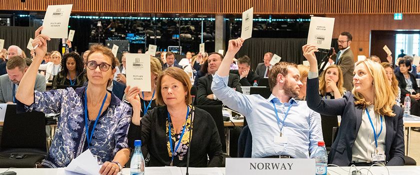 Den norske delegasjonen stemmer i plenum. F.v.: Kari Henriksen (A), delegasjonsleder Siv Mossleth (Sp), Sivert Bjørnstad (FrP), Torill Eidsheim (H). Åsmund Aukrust (A) og Abid Q. Raja (V) var ikke til stede da bildet ble tatt. Foto: OSSE PA.